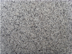 G3540 Granite,New Grigio Sardo,Padang G640,Padang Gamma,Padang Grigio,China Bianco Sardo,