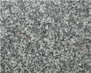 Apple Green Slabs & Tiles, India Green Granite