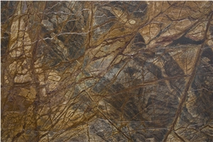 Rain Forest Marble, Slabs & Tiles, India Brown Marble