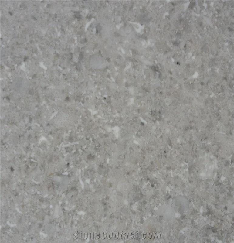 Patini Gray Slabs & Tiles, China Grey Marble