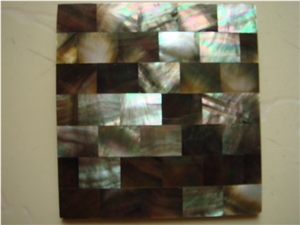 Black Seashell Mosaic