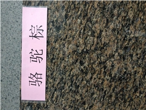 Camel Brown Granite slab and tile,India Brown granite
