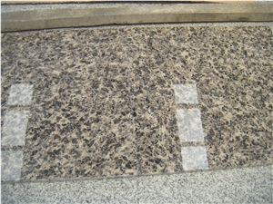 China Leopard Skin Granite, Brown Granite Slab & Tile & Countertop