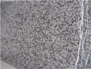 G439 White Granite Slabs&Tiles,Big White Flower Granite Slabs&Tiles,China White Granite