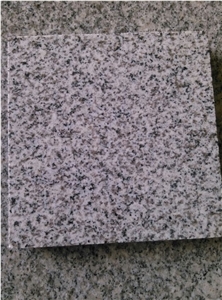 New G603 Granite Walling & Flooring Tile,Grey Sardo with Quarry,Bianco Sardo Slab and Tile
