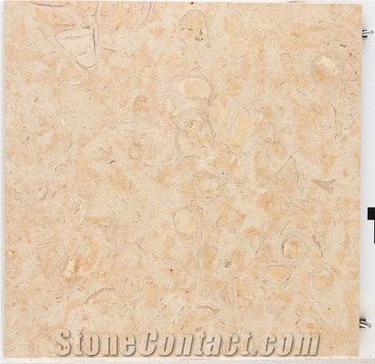 Oro Shell Limestone Tiles, Fossil Oro Limestone Slabs & Tiles