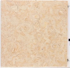 Oro Shell Limestone Tiles, Fossil Oro Limestone Slabs & Tiles