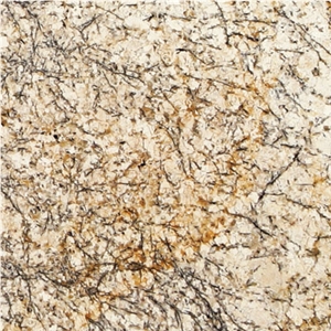Golden Flakes Granite Slabs & Tiles, Brazil Yellow Granite