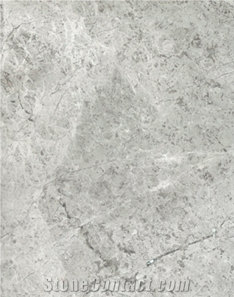 Arctic Silver Limestone Tiles & Slabs, White Limestone Turkey Flooring Tiles