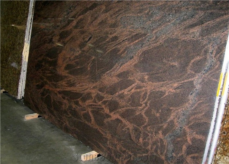 Indian Dakota 2 cm Slabs