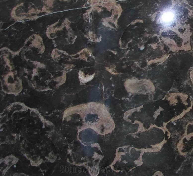 Golden Leopard Portoro Marble Blocks, China Black Marble Blocks
