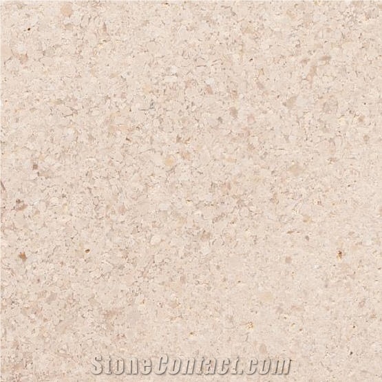 Corte Limestone - Sand Mos Slabs