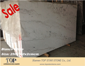 Competitive Polished Bianco White Marble Slabs, China White Marble Slabs & Tiles