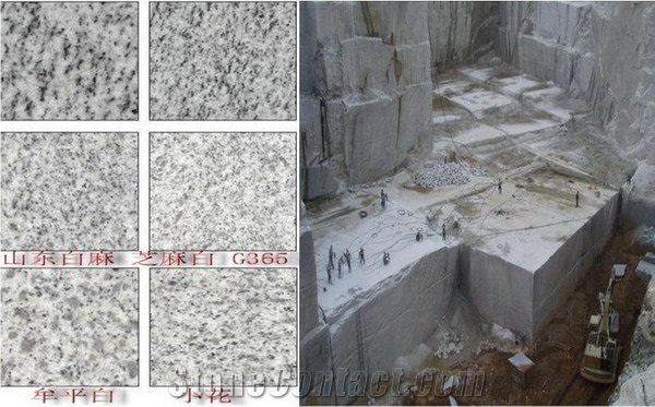 China Shandong White Granite Blocks