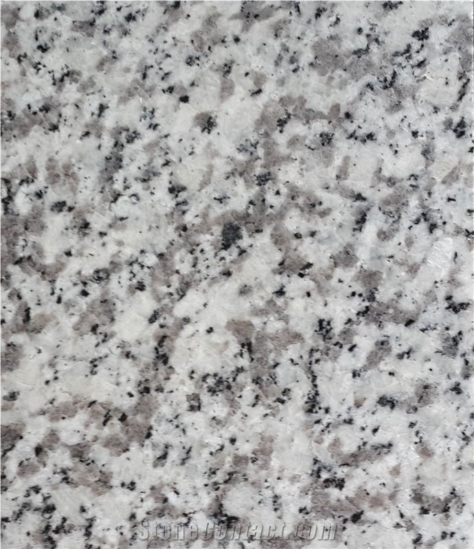 New G640 Cheap Granite Stone Slabs & Tiles, China White Granite