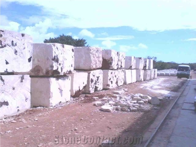 Natural Coral Stone Blocks, Calypso Coral Stone Block