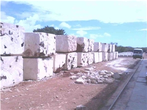Natural Coral Stone Blocks, Calypso Coral Stone Block