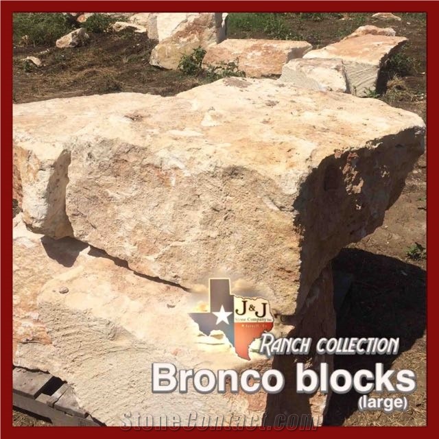 Bronco Blocks