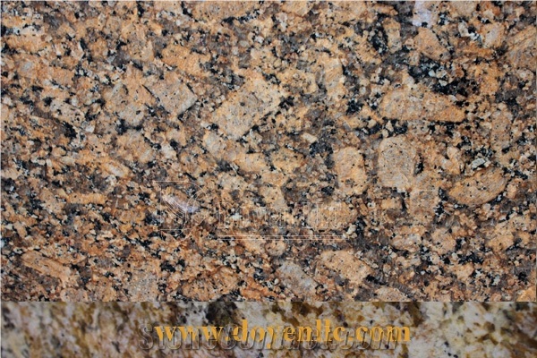 Fiorito Gold Granite Slabs for Kitchen Tops & Wall and Floor Tiles