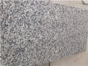 High Quality Polished Padang White G603 Granite Thin Tiles(300*300*10mm, 305*305*10mm, 400*400*10mm, 300*600*10mm, 305*610*10mm)