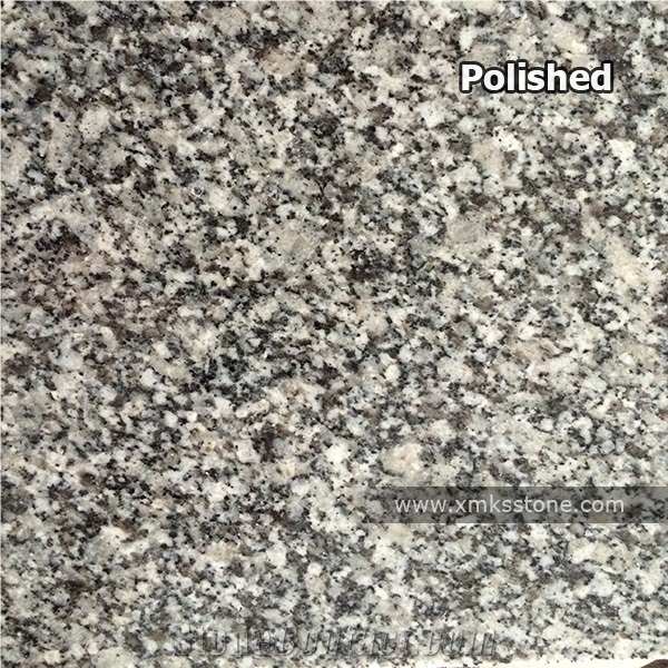 New G623 Snow Grey Cheap Grey Granite Tiles, Cut to Size, Polished/Flamed