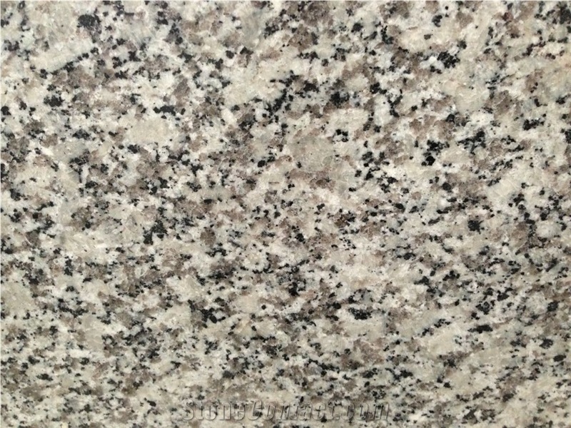 Cream Pearl G439 Granite Slabs & Tiles, China Grey Granite