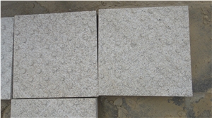 G341 Granite Tiles with Tactile, China Grey Granite