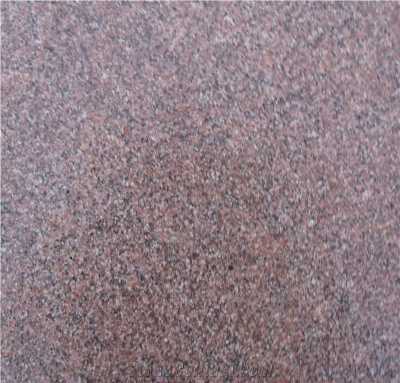 G354 Brown Red Slabs & Tiles, G354 Red Granite Tiles