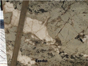 Exodus White Granite Polished Slabs