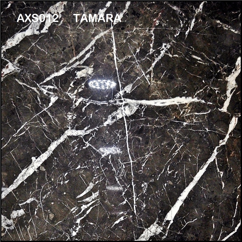 Axs012 Tamara Black Marble