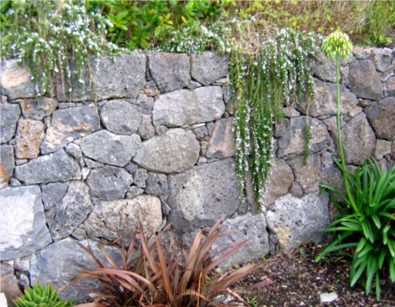 Auckland Basalt, Basalt Blue Stone Dry Stack Wall