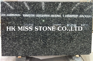 China Black Fossil,Sea Shell Marble Tile & Slab, Polished Chinese Black Marble,Polished Natural Black Fossil Marble