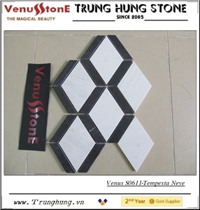 Polished Black and White Marble Mosaic with Special Design