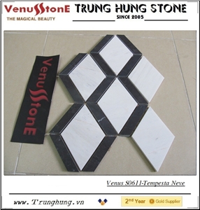 Polished Black and White Marble Mosaic with Special Design