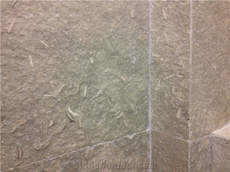 Fossil Green Limestone Tiles & Slabs, Seagrass Limestone Polished Floor Tiles, Wall Tiles