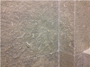 Fossil Green Limestone Tiles & Slabs, Seagrass Limestone Polished Floor Tiles, Wall Tiles