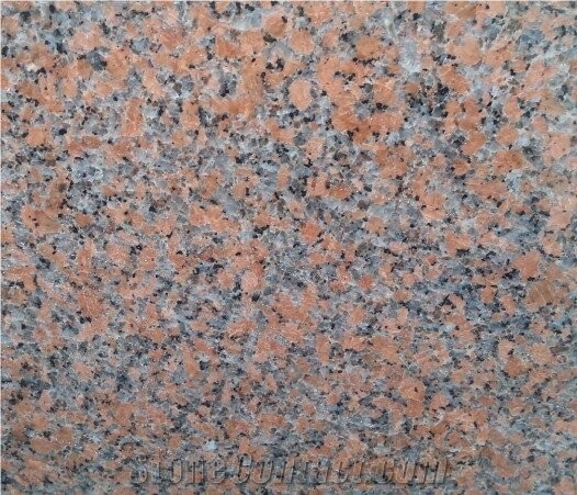 Cenxi Red, Maple Red, G562 Granite Polished Tiles