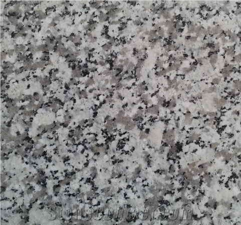 Nehbandan Gray Granite, Nehbandan Gray Granite Slabs & Tiles