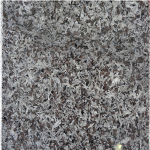 New Saint Louis Granite Slabs & Tiles, Brazil Black Granite