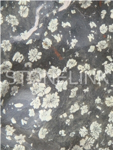 Slga-097,Peony Stone Granite ,Slab,Tile,Flooring,Wall Cladding,Skirting