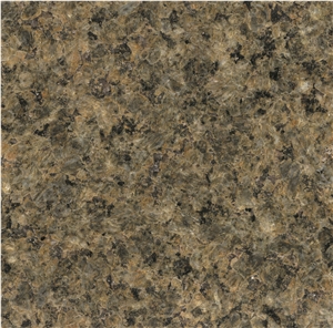 Slga-100,Desert Green,Green Granite,Slab,Tile,Flooring,Wall Cladding,Skirting