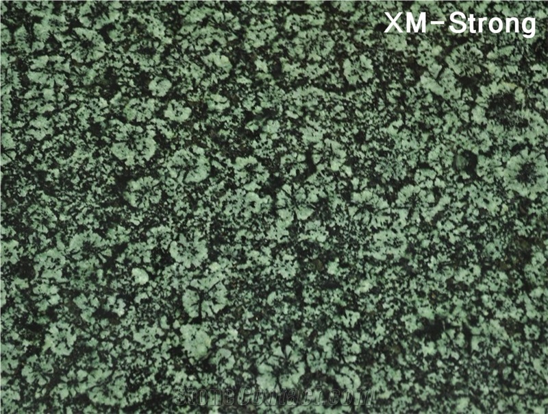 Chrysanthemum Green Granite Tile for Sale,Chrysanthemum Green Granite Tiles,Chrysanthemum Green Floor Covering,Chrysanthemum Green Granite