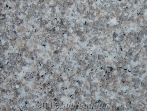 Ontario White Granite Tiles & Slabs Wholesale,Ontario White Granite Tiles,Ontario White Granite