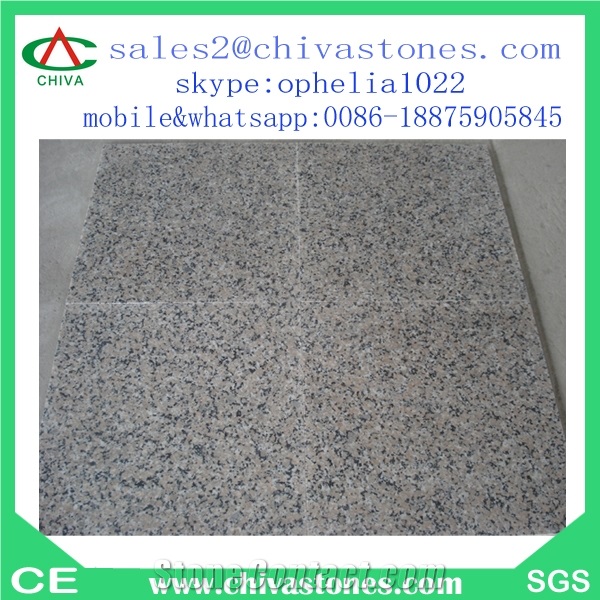 G563 Granite Tiles Cheap Granite Slabs Granite Flooring