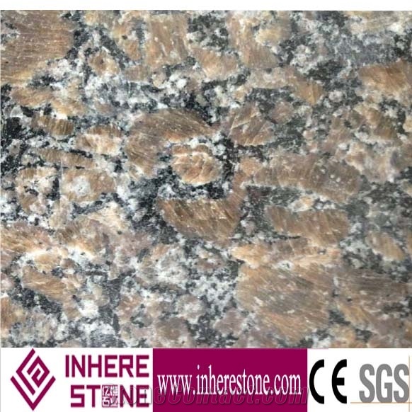 Royal Coffee Granite Slab or Tile, Brown Granite Slab, China Brown Granite