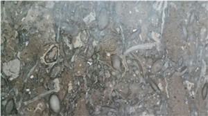 Ocean Fossil Brown Marble Tiles & Slabs Pakistan