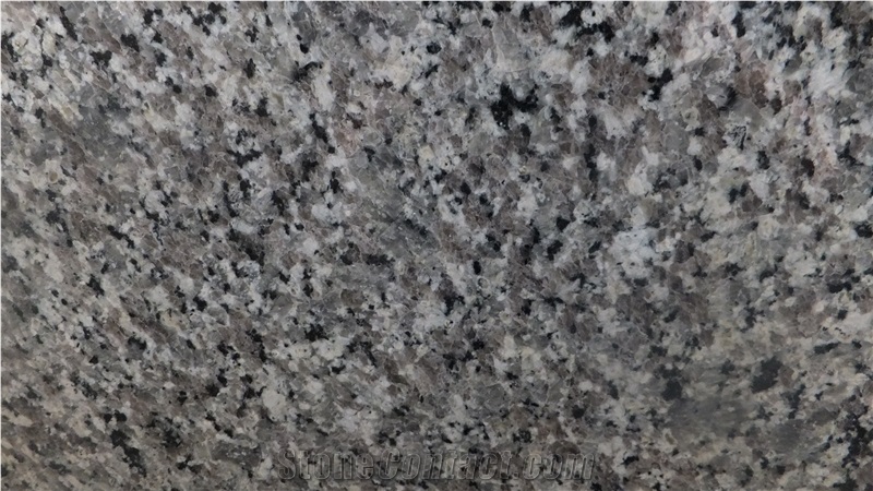 Swan White Granite Slabs & Tiles, China Grey Granite