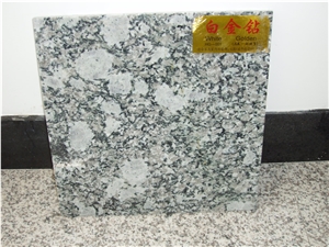 White Diamond Grain Granite Slabs & Tiles