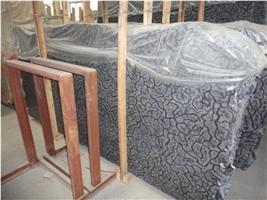 Xiamen China Oracle Bone Marble Slab Tile Paver Cover Flooring Tile, China Black Marble