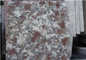 Chinese Granite Snow Plum Granite Tiles & Slabs for Wall / Floor Covering